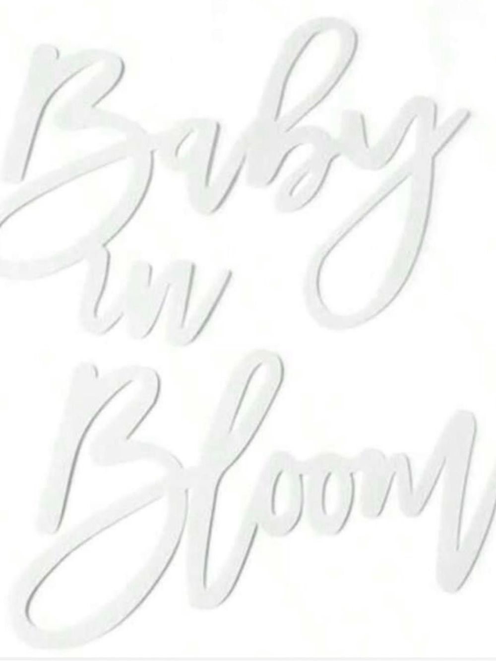 Baby in Bloom - Brand New Baby Shower Sign Decor